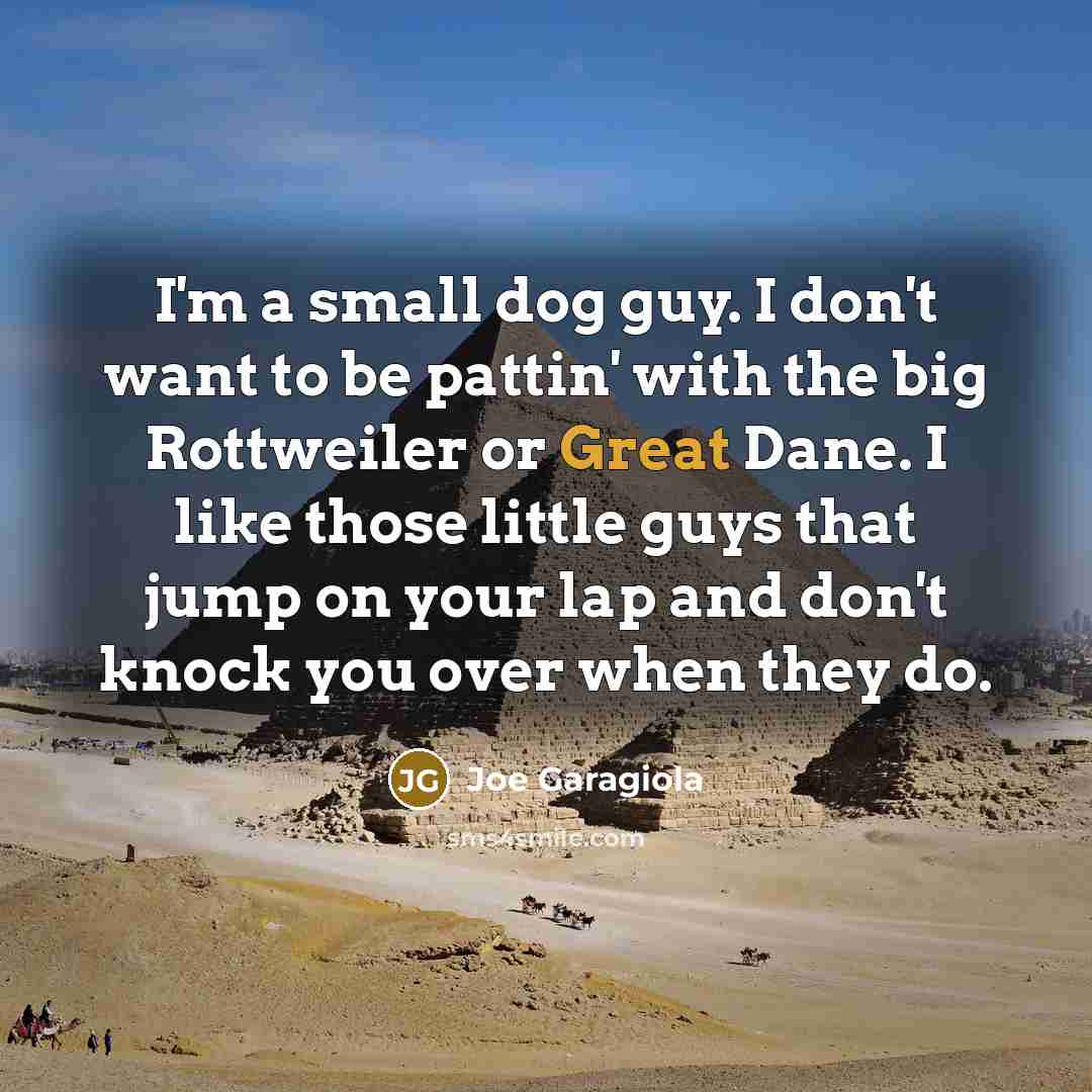 “I'm a small dog guy. I don't want to be…” quote by Joe Garagiola
