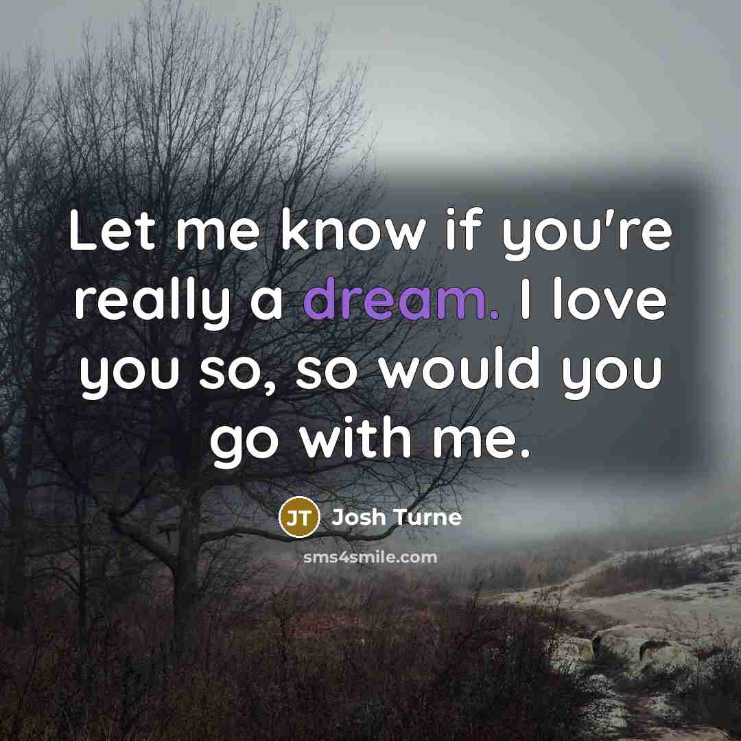 “Let me know if you're really a dream. I love you so, so would you go with me.” quote by Josh Turne
