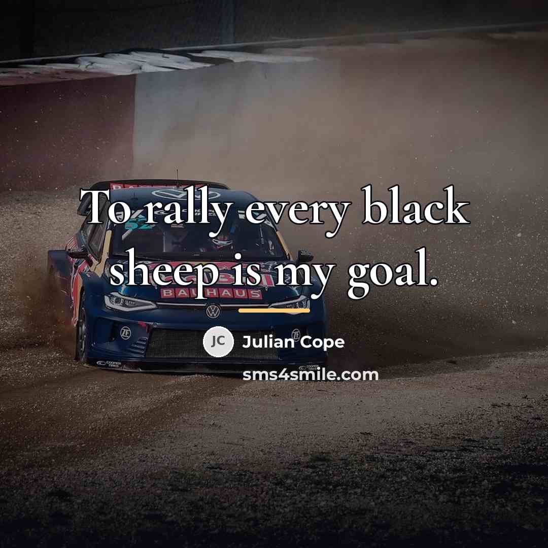 “To rally every black sheep is my goal.…” quote by Julian Cope