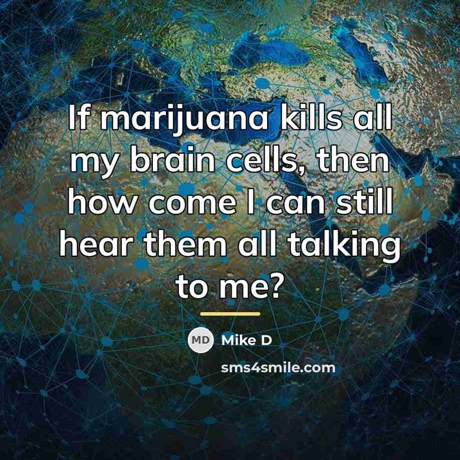 “If marijuana kills all my brain cells, then how come…” quote by Mike D