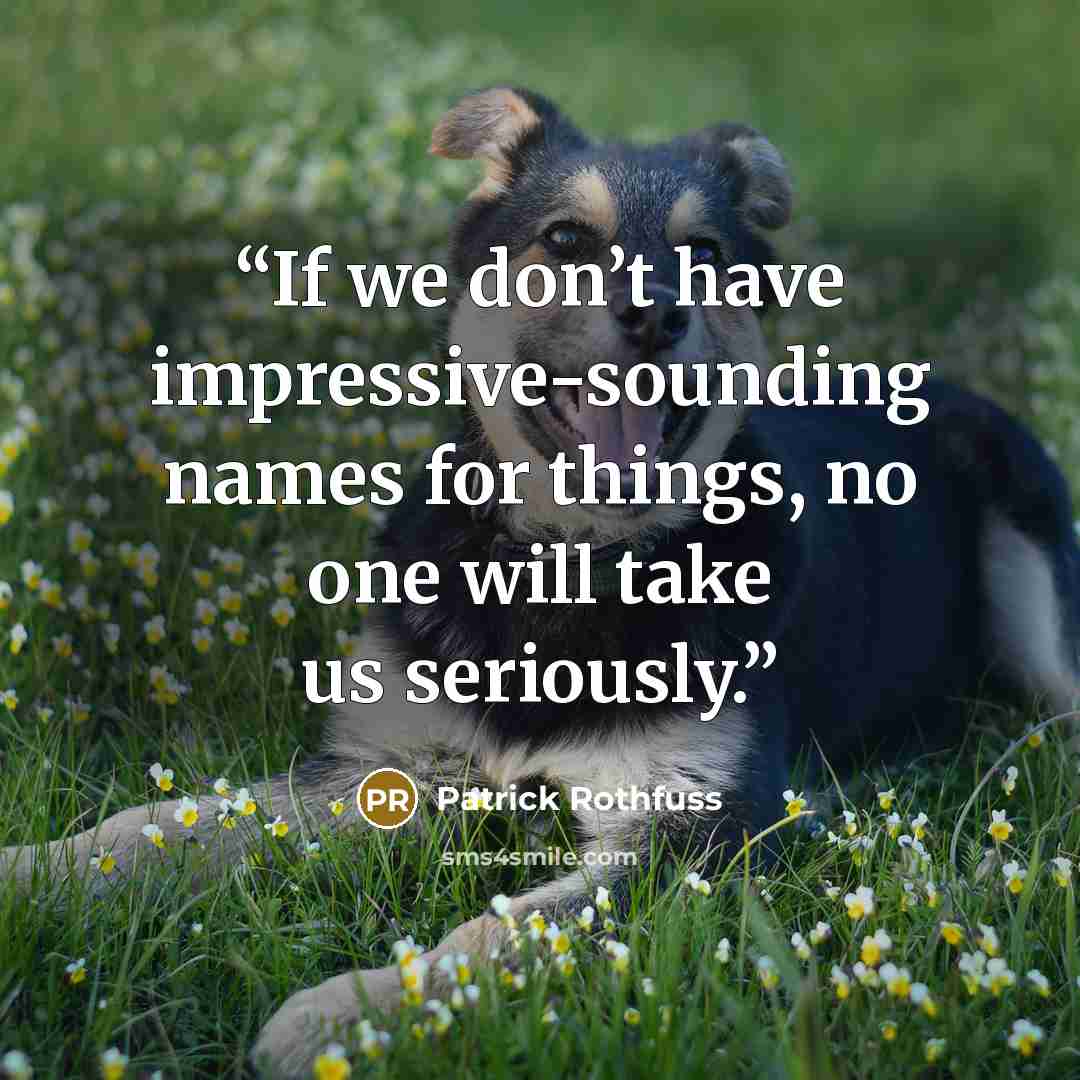 “If we don’t have impressive-sounding names for things, no one will take us seriously.” quote by Patrick Rothfuss