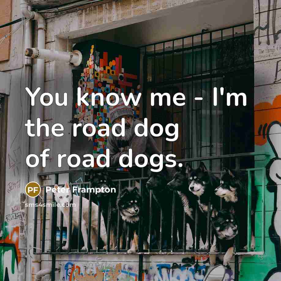 “You know me - I'm the road dog of road…” quote by Peter Frampton