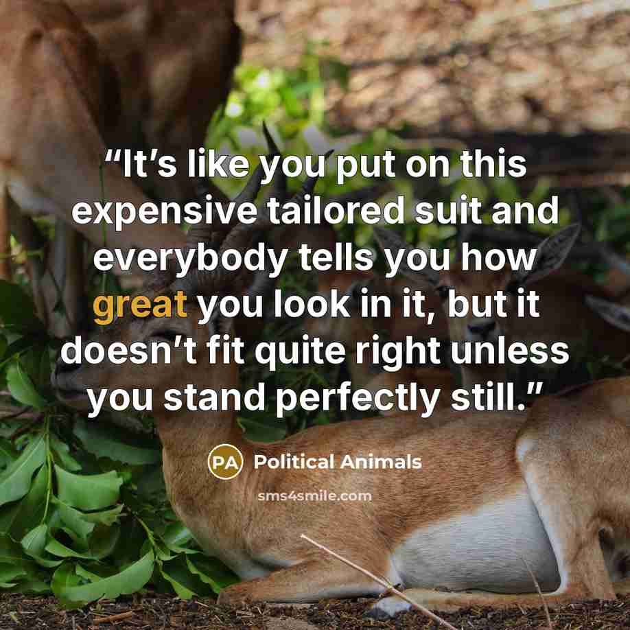 “It’s like you put on this expensive tailored suit and everybody tells you how great you look in it, but it doesn’t fit quite right unless you stand perfectly still.” quote by Political Animals