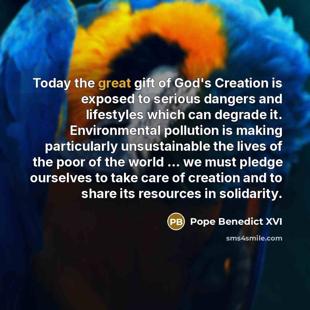“Today the great gift of God's Creation is exposed to…” quote by Pope Benedict XVI