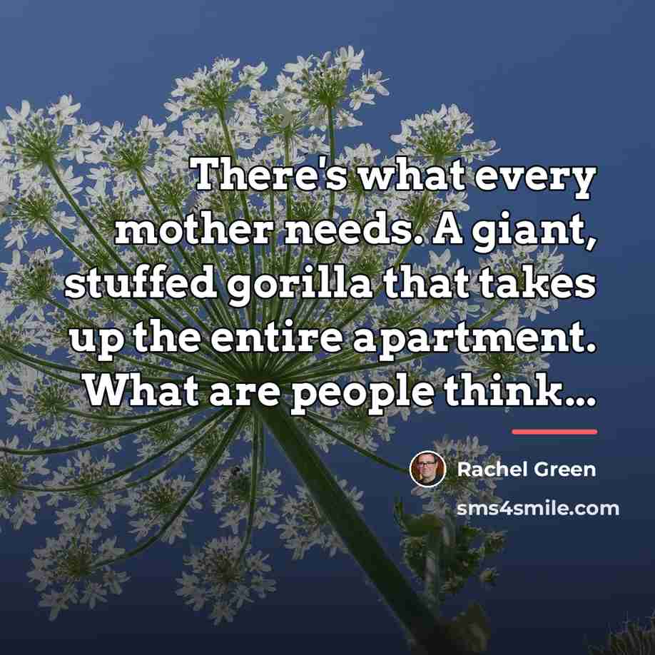 “There's what every mother needs. A giant, stuffed gorilla that…” quote by Rachel Green