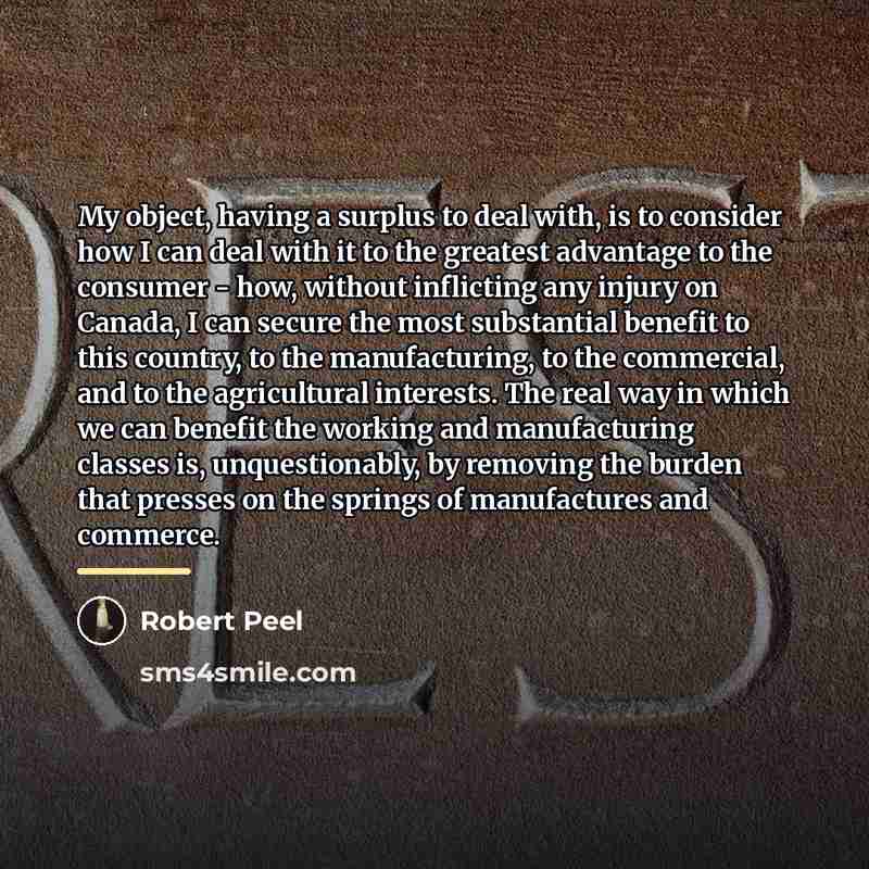 “My object, having a surplus to deal with, is to…” quote by Robert Peel