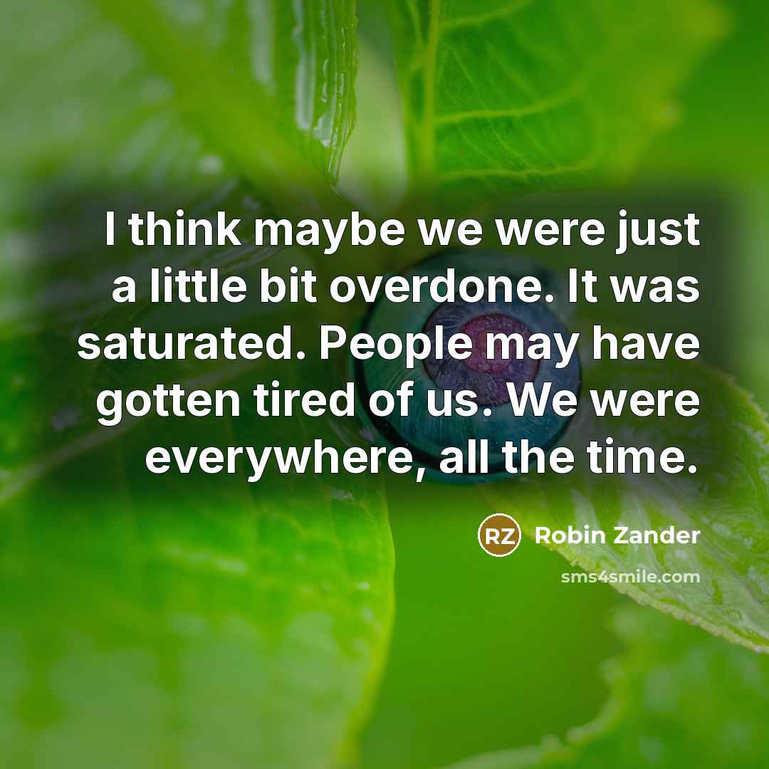 “I think maybe we were just a little bit overdone.…” quote by Robin Zander