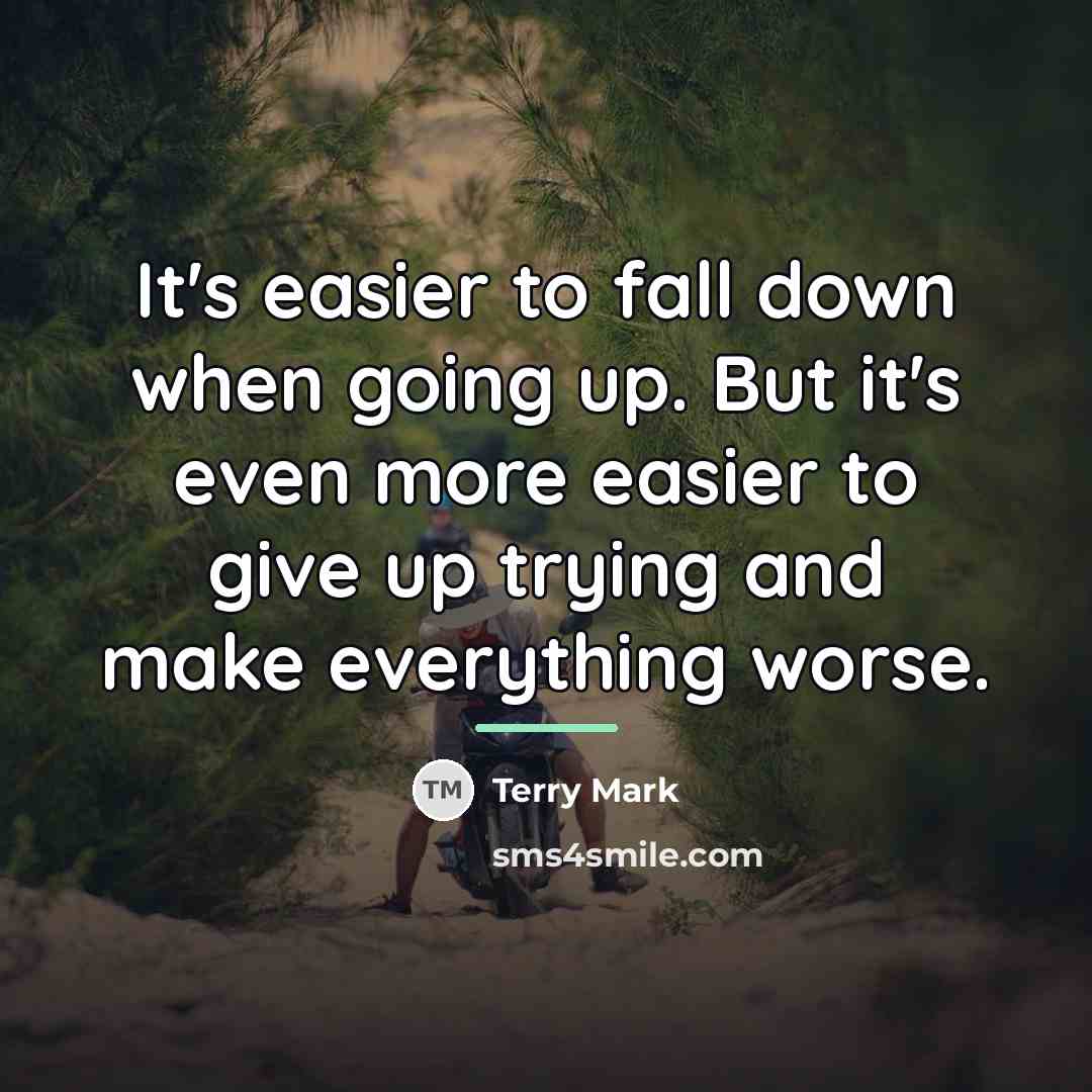 “It's easier to fall down when going up. But it's…” quote by Terry Mark