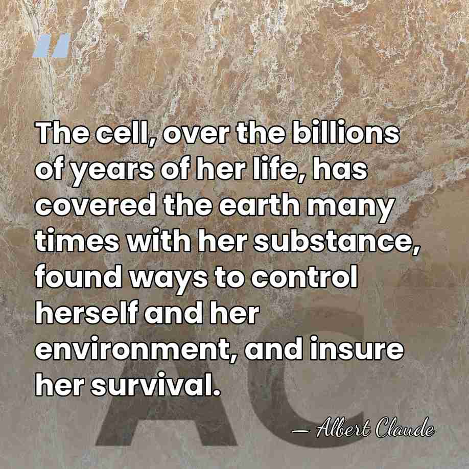 The cell, over the billions of years of her life, has covered&hellip; - Albert Claude