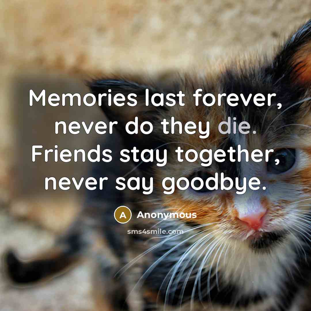 “Memories last forever, never do they die. Friends stay together,…” quote by Anonymous