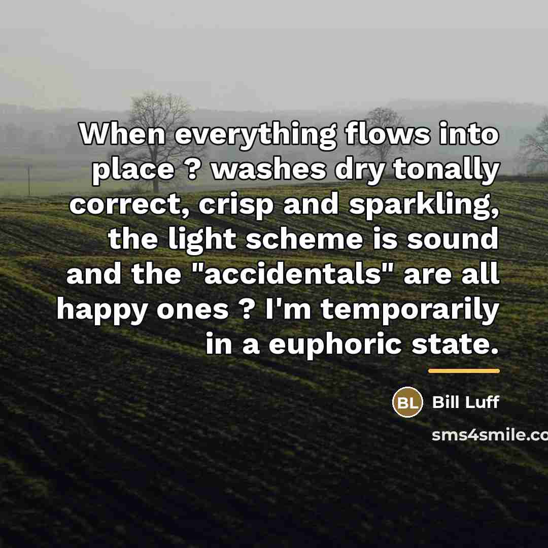 “When everything flows into place ? washes dry tonally correct,…” quote by Bill Luff