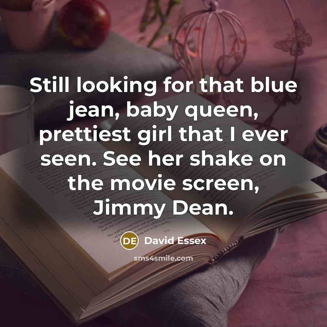 “Still looking for that blue jean, baby queen, prettiest girl…” quote by David Essex