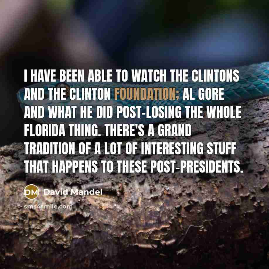 “I have been able to watch the Clintons and The…” quote by David Mandel