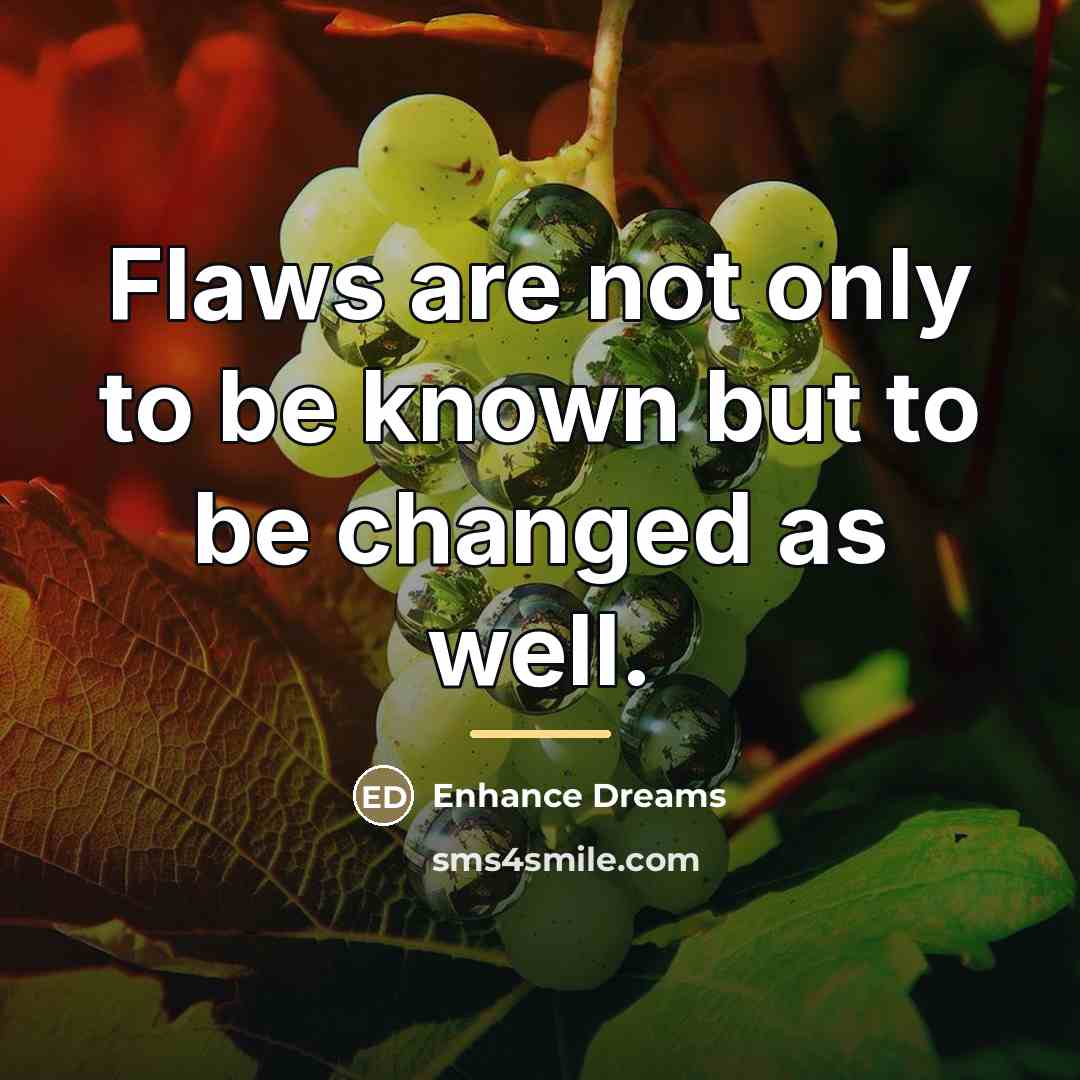 “Flaws are not only to be known but to be…” quote by Enhance Dreams