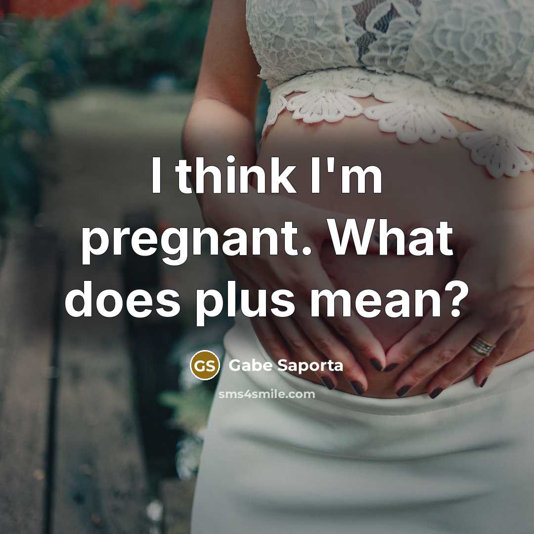 “I think I'm pregnant. What does plus mean?…” quote by Gabe Saporta