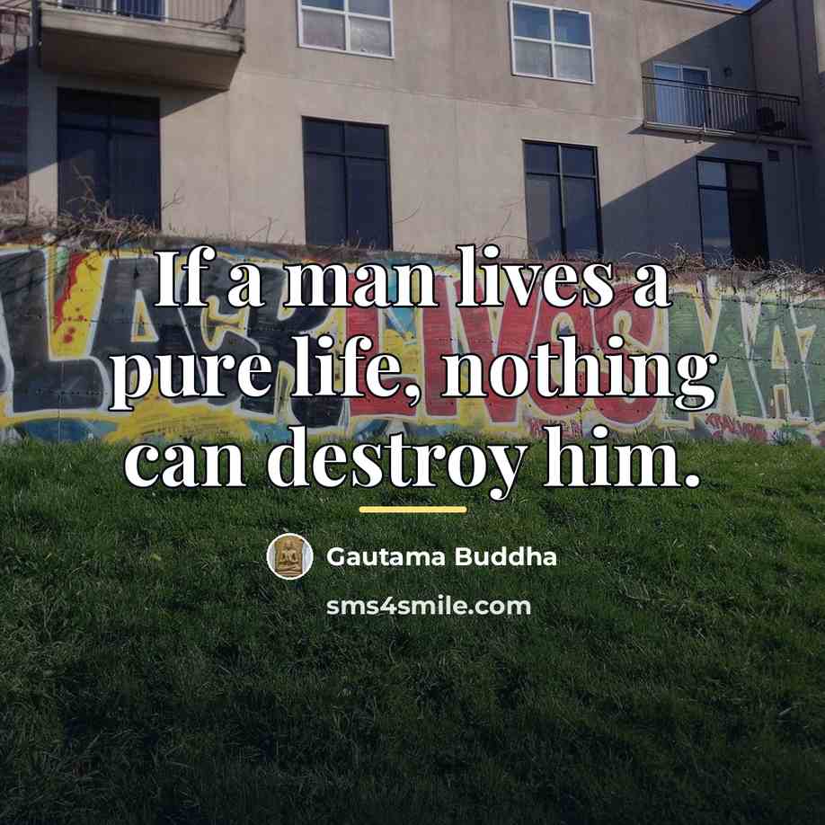 “If a man lives a pure life, nothing can destroy…” quote by Gautama Buddha