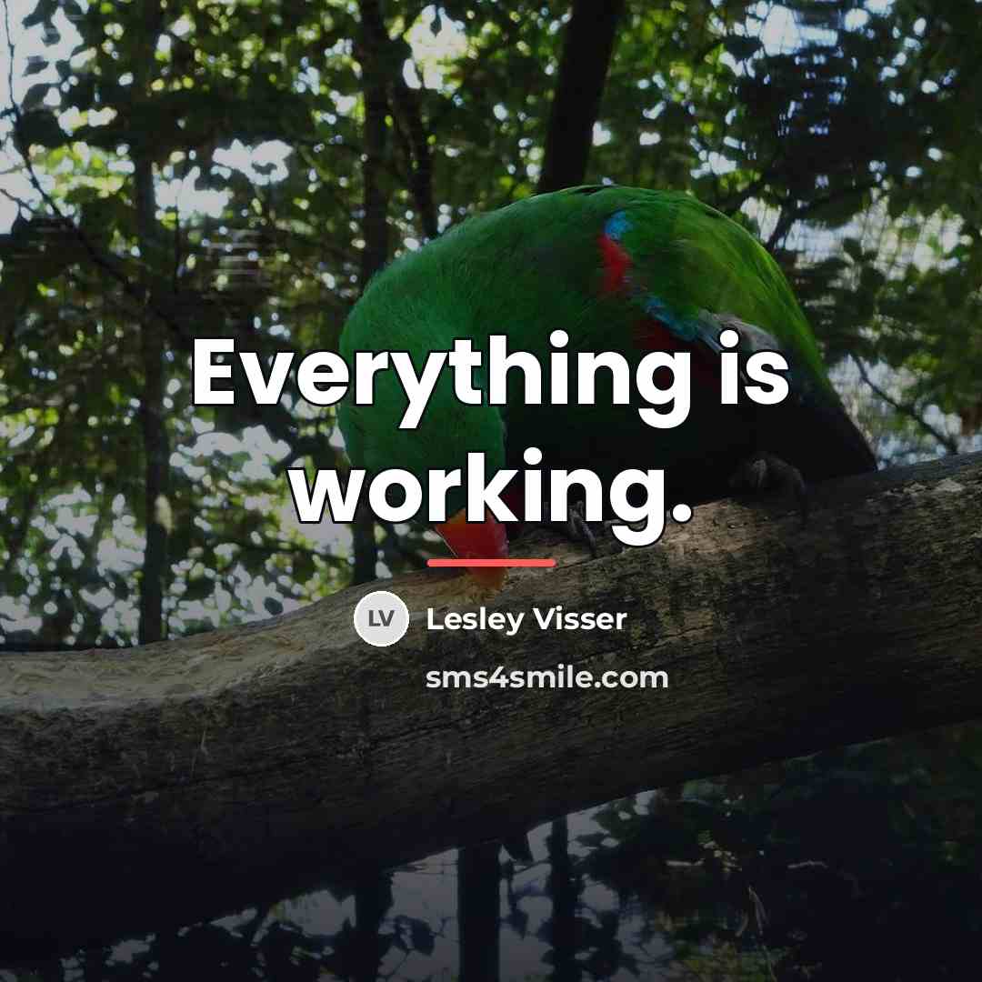 “Everything is working.…” quote by Lesley Visser