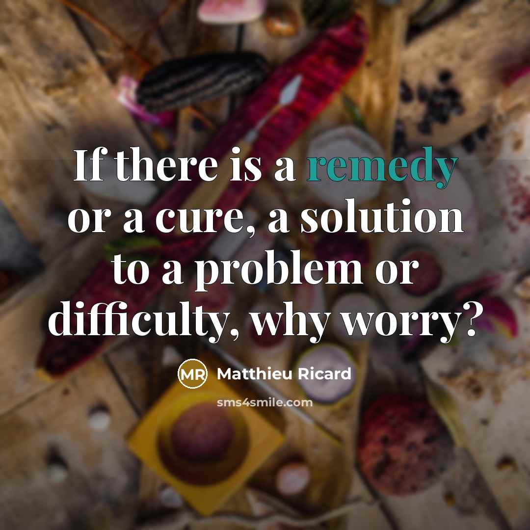 “If there is a remedy or a cure, a solution…” quote by Matthieu Ricard