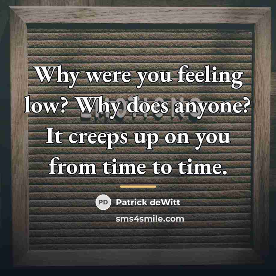 “Why were you feeling low? Why does anyone? It creeps…” quote by Patrick deWitt