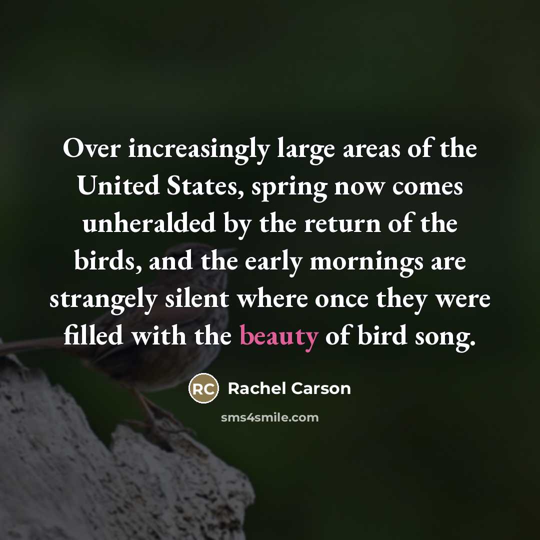 “Over increasingly large areas of the United States, spring now…” quote by Rachel Carson