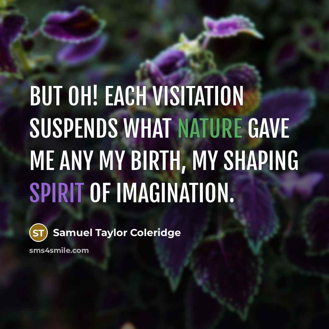 “But oh! each visitation Suspends what nature gave me any…” quote by Samuel Taylor Coleridge