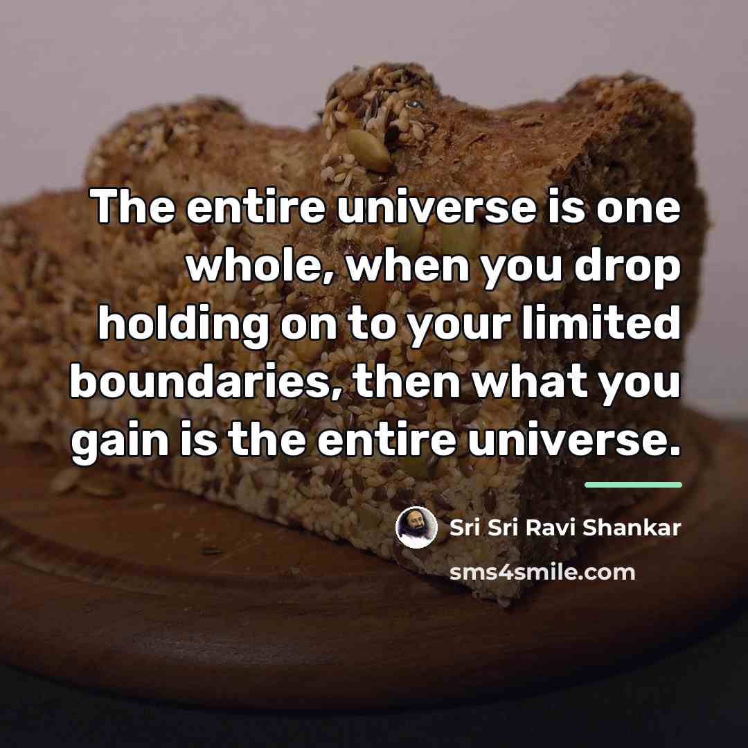 “The entire universe is one whole, when you drop holding…” quote by Sri Sri Ravi Shankar