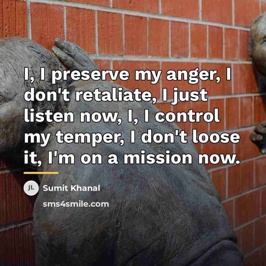 “I, I preserve my anger, I don't retaliate, I just…” quote by Sumit Khanal