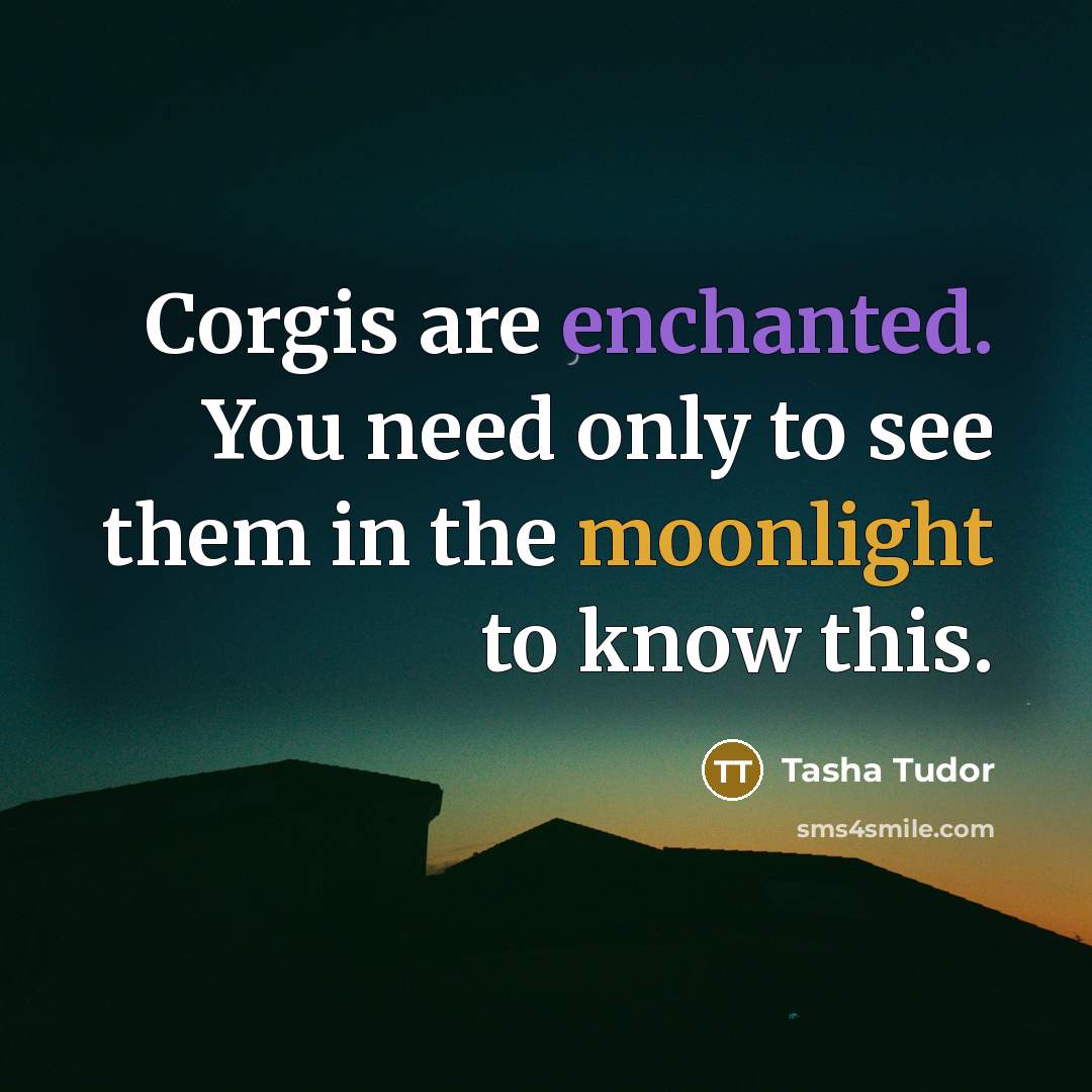 “Corgis are enchanted. You need only to see them in the moonlight to know this.” quote by Tasha Tudor