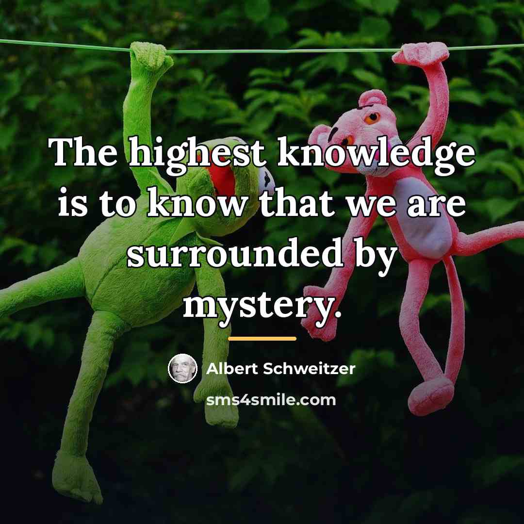 “The highest knowledge is to know that we are surrounded…” quote by Albert Schweitzer