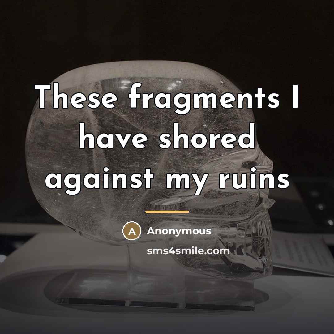 “These fragments I have shored against my ruins…” quote by Anonymous