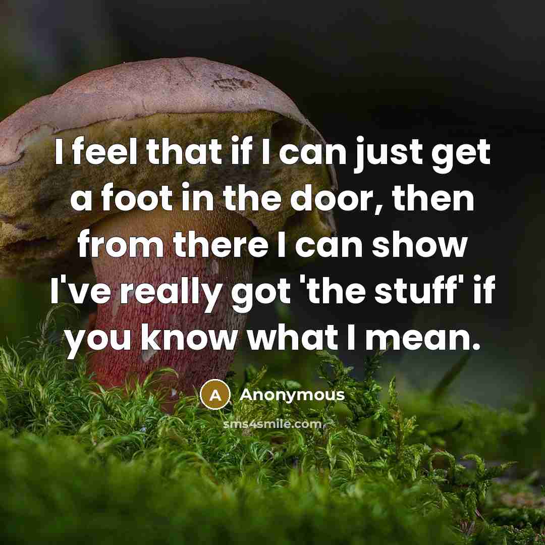 “I feel that if I can just get a foot in the door, then from there I can show I've really got 'the stuff' if you know what I mean.” quote by Anonymous