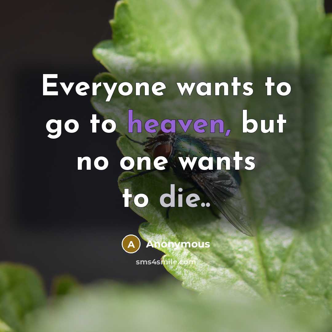 “Everyone wants to go to heaven, but no one wants to die..” quote by Anonymous