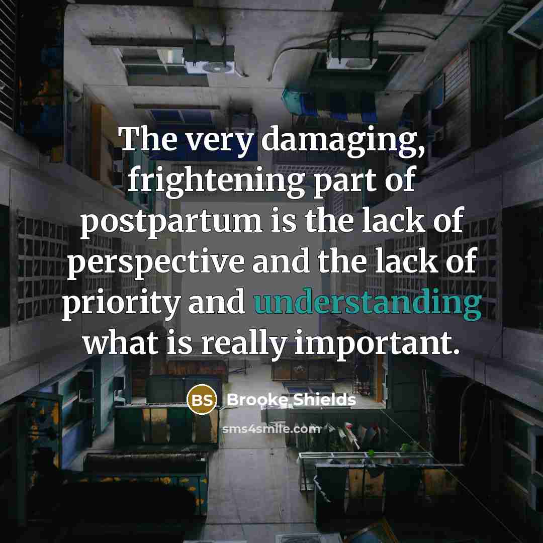 “The very damaging, frightening part of postpartum is the lack…” quote by Brooke Shields