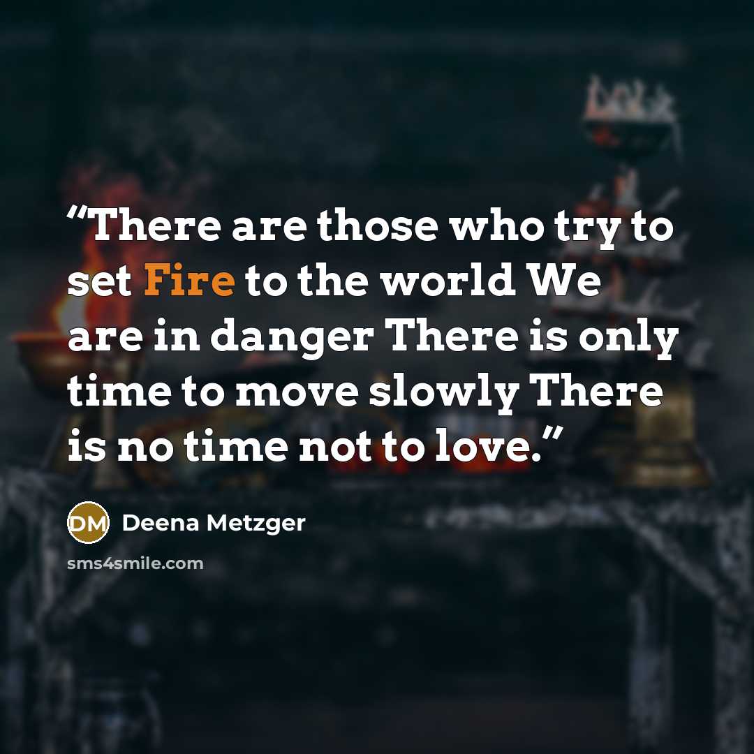 “There are those who try to set Fire to the world We are in danger There is only time to move slowly There is no time not to love.” quote by Deena Metzger