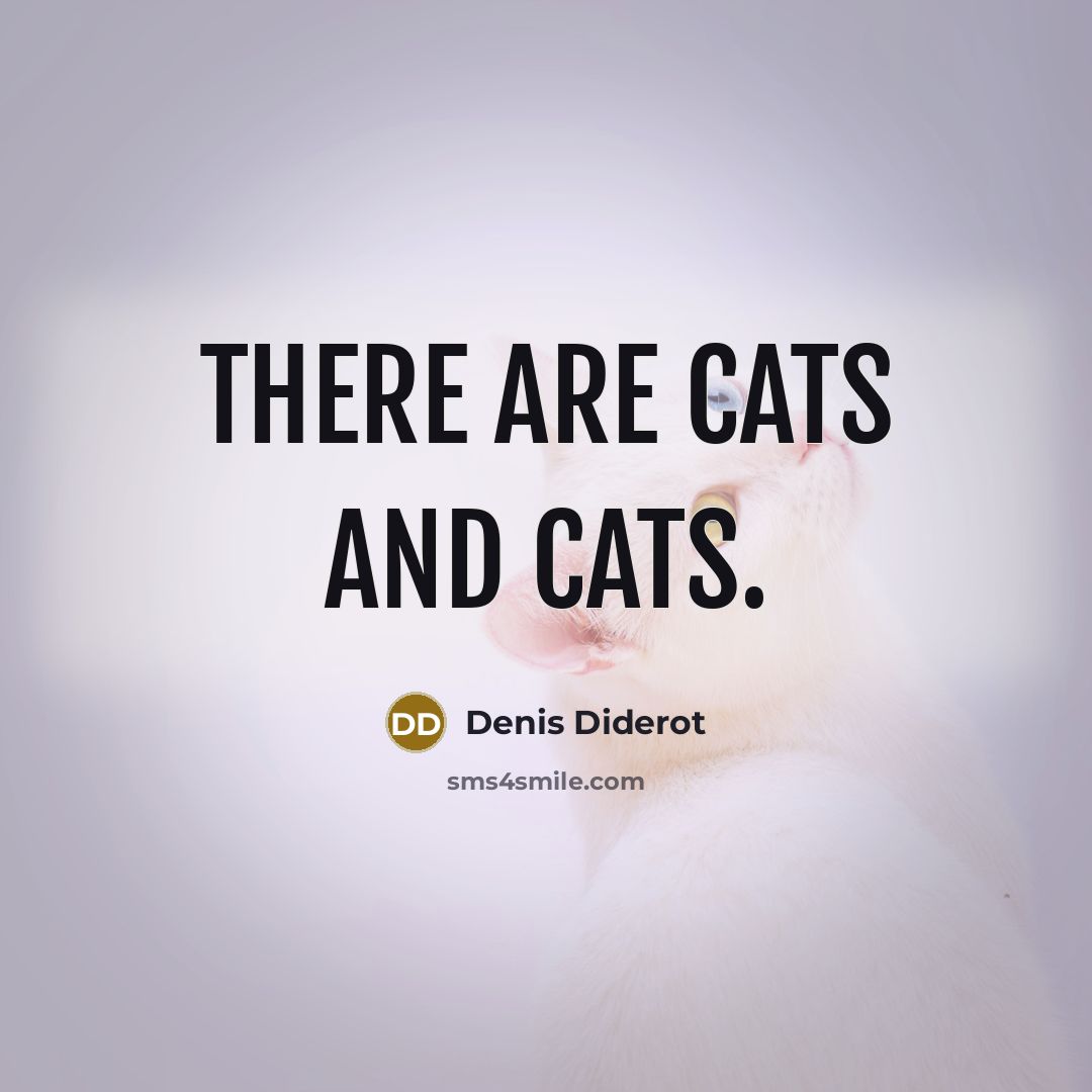 “There are cats and cats.…” quote by Denis Diderot