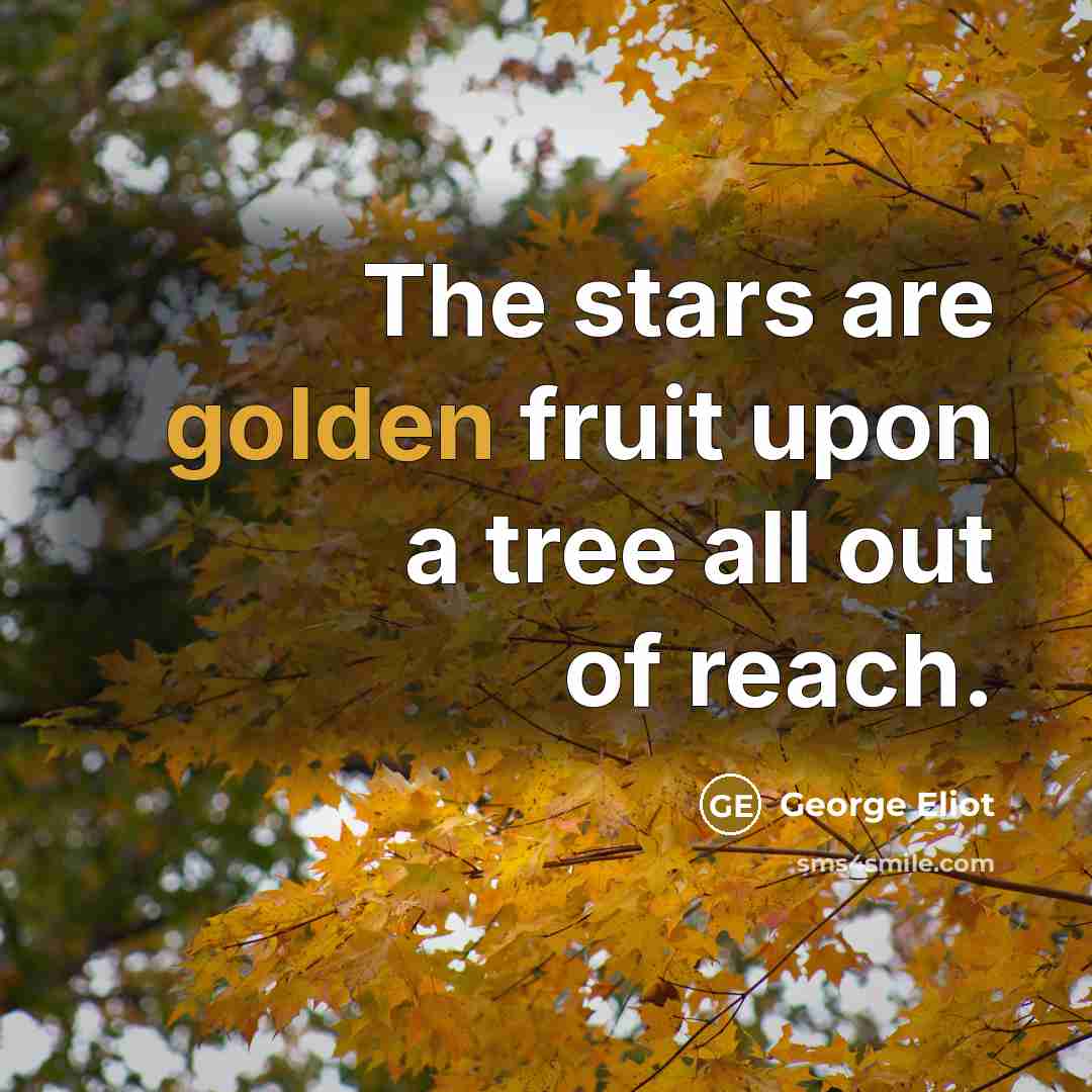 “The stars are golden fruit upon a tree all out…” quote by George Eliot
