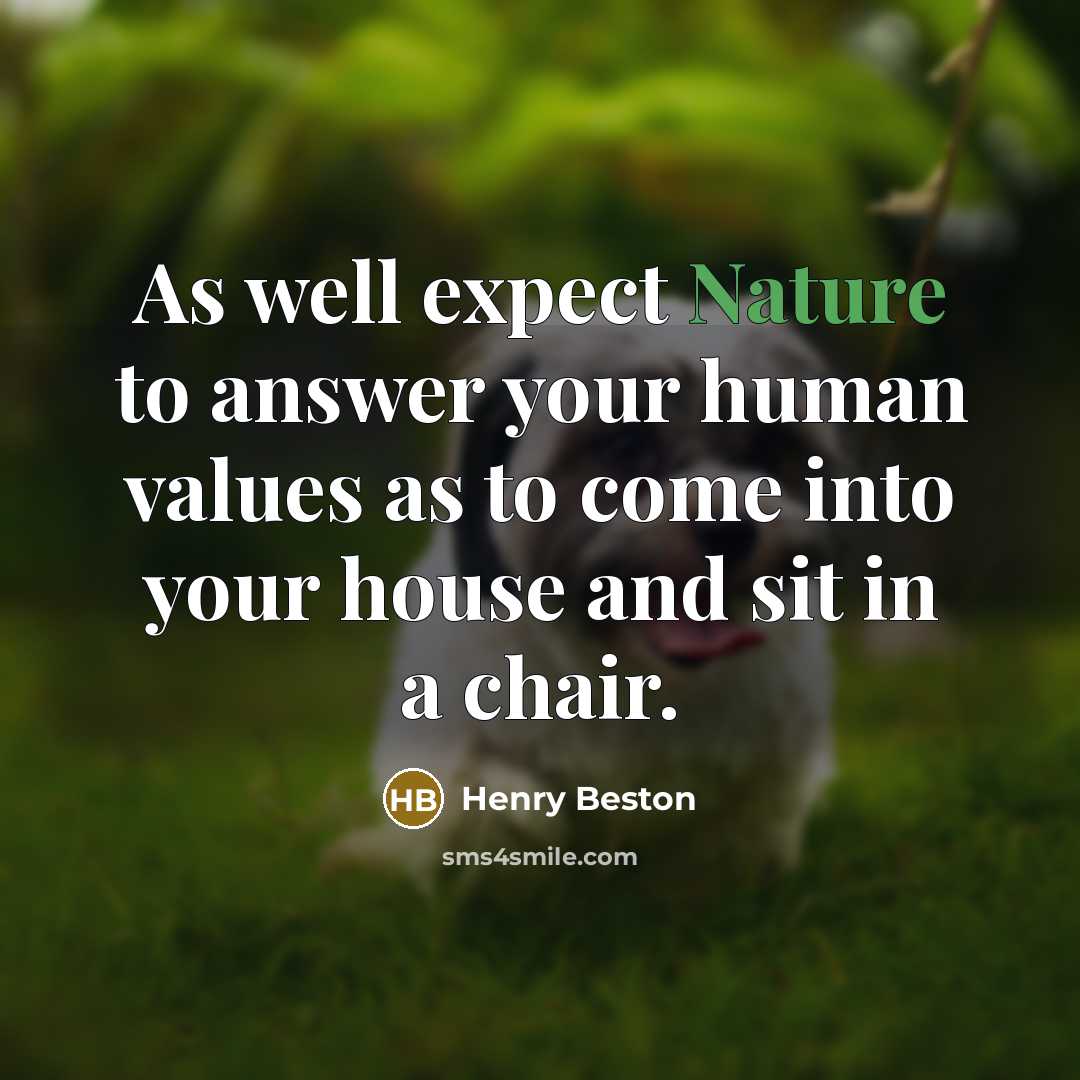 “As well expect Nature to answer your human values as…” quote by Henry Beston