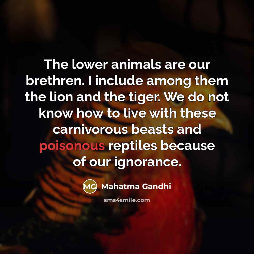 “The lower animals are our brethren. I include among them…” quote by Mahatma Gandhi