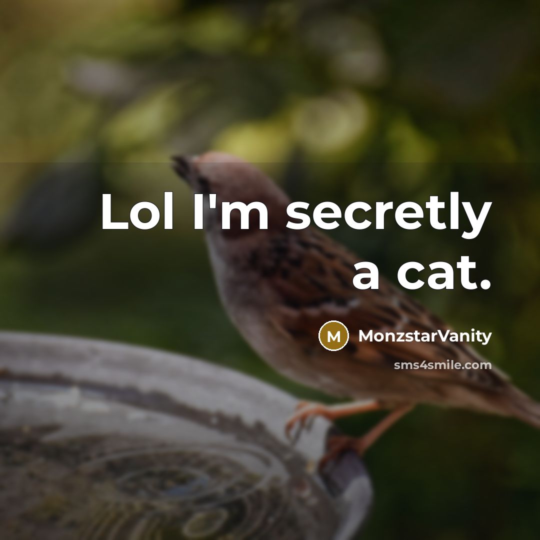 “Lol I'm secretly a cat.…” quote by MonzstarVanity