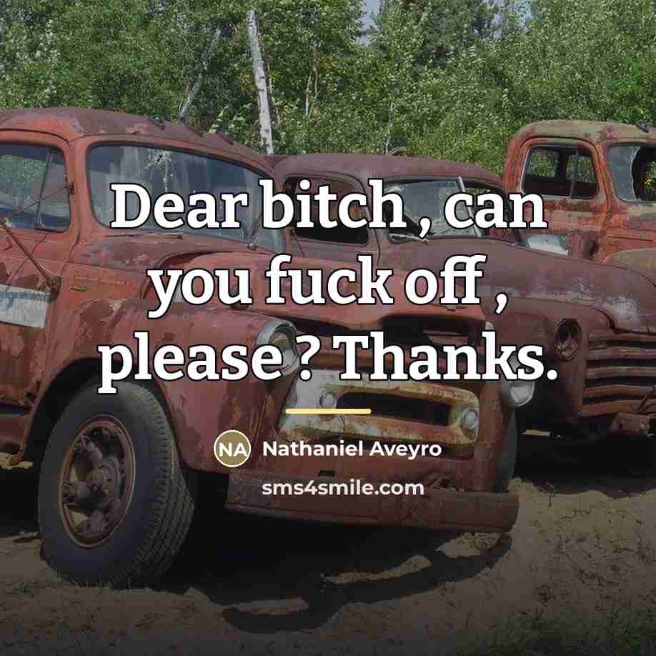 “Dear bitch , can you fuck off , please ?…” quote by Nathaniel Aveyro