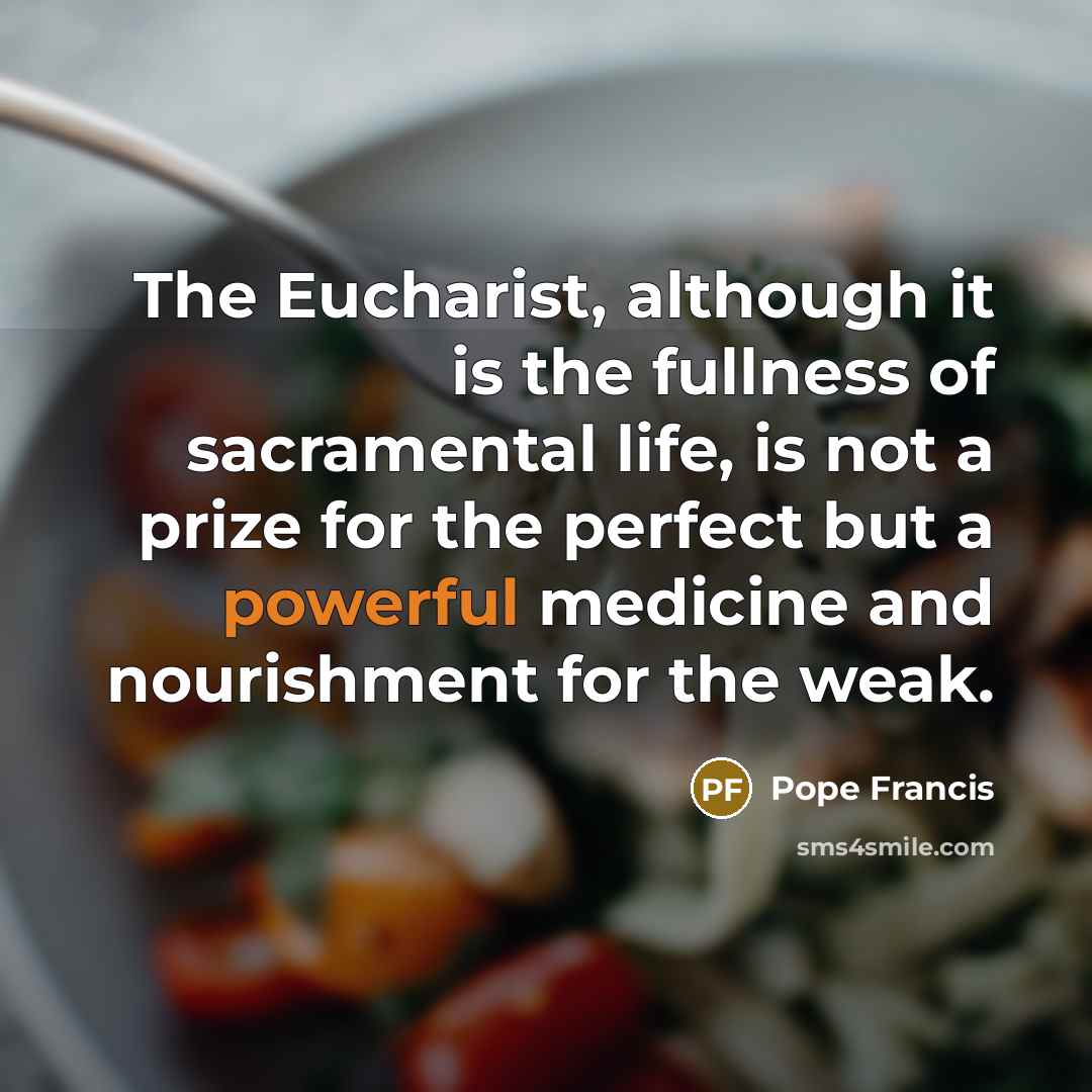 “The Eucharist, although it is the fullness of sacramental life,…” quote by Pope Francis