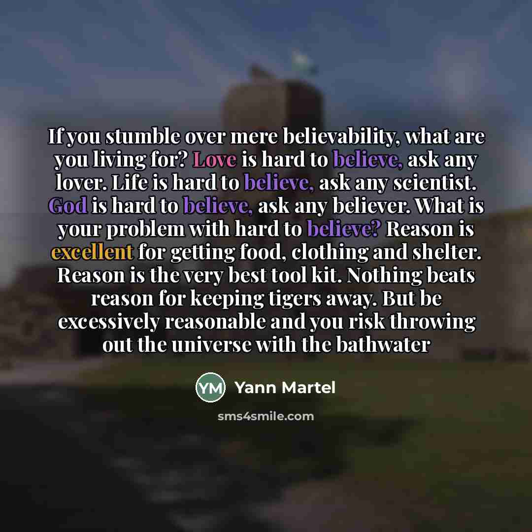 “If you stumble over mere believability, what are you living…” quote by Yann Martel