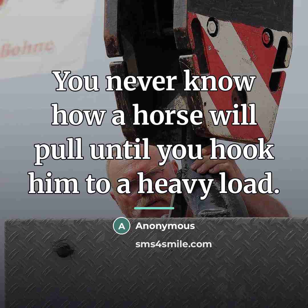 “You never know how a horse will pull until you…” quote by Anonymous