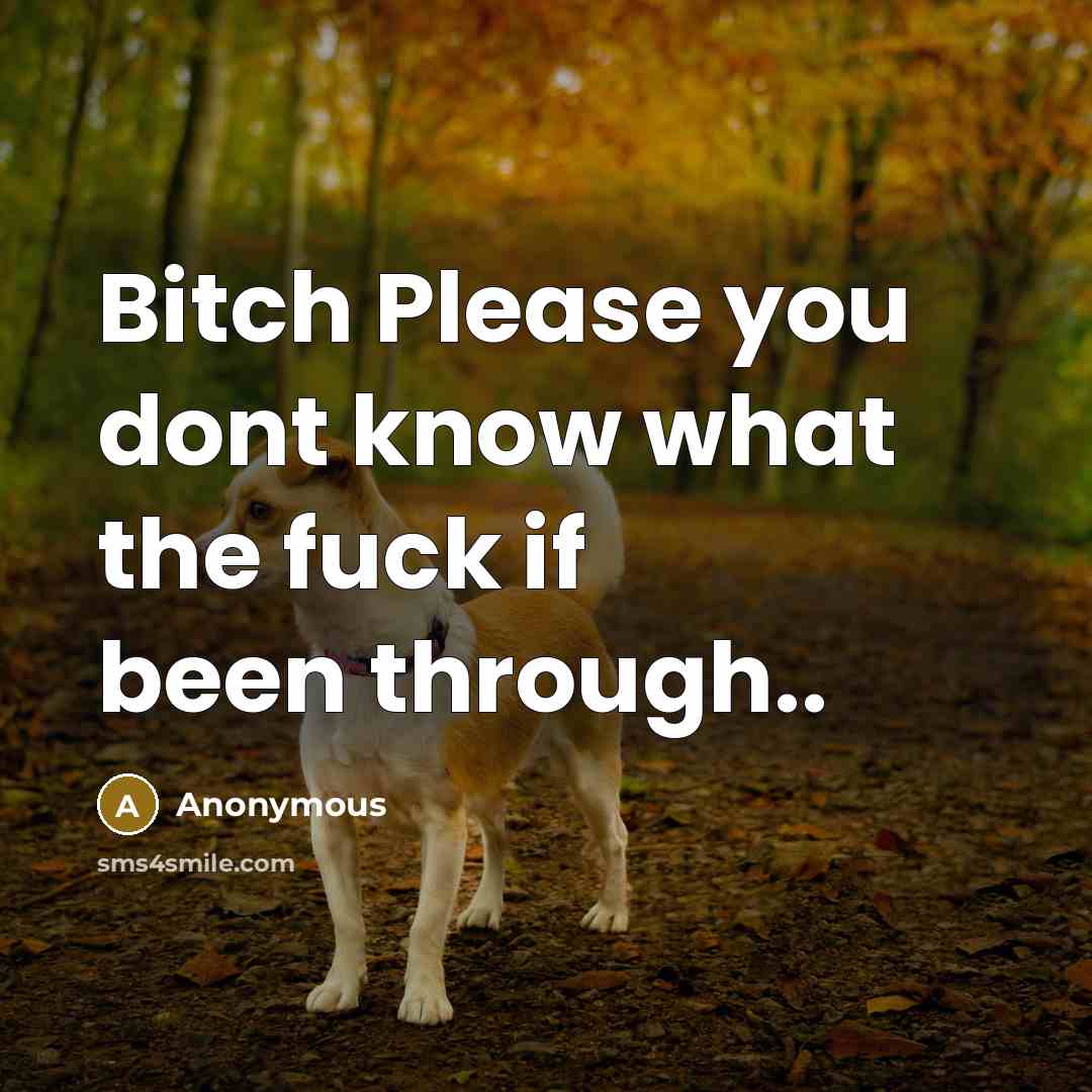 “Bitch Please you dont know what the fuck if been…” quote by Anonymous