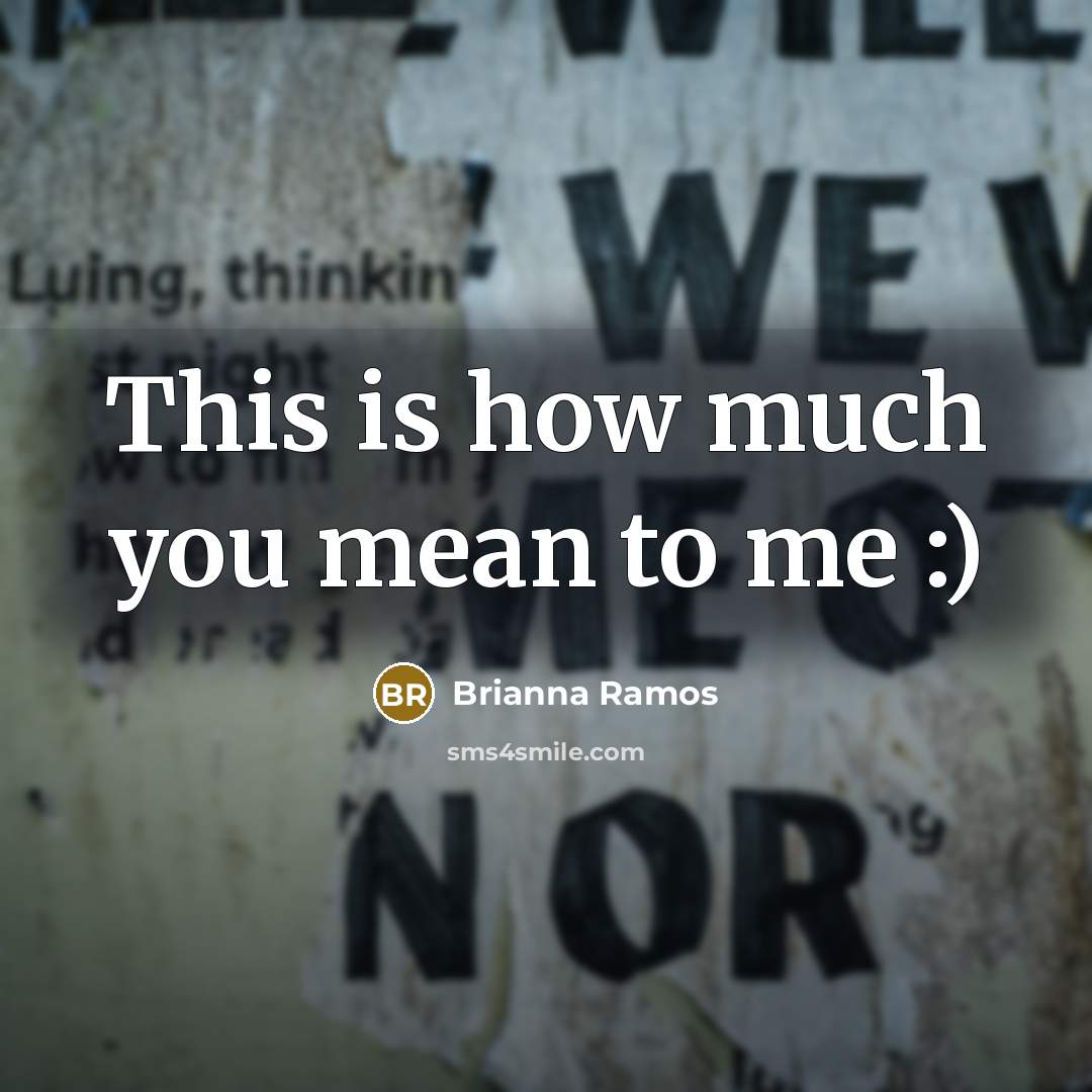 “This is how much you mean to me :)…” quote by Brianna Ramos