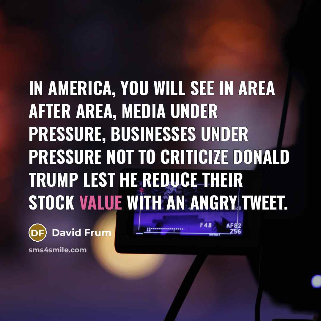 “In America, you will see in area after area, media…” quote by David Frum