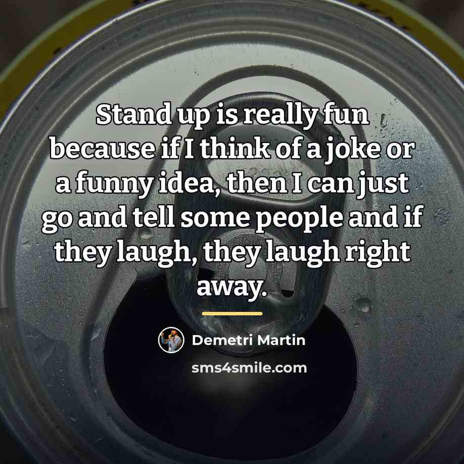 “Stand up is really fun because if I think of…” quote by Demetri Martin