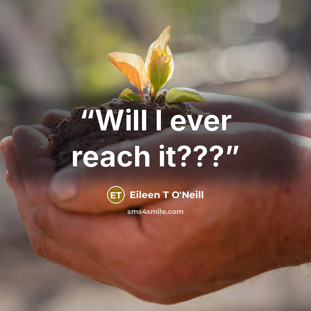 “Will I ever reach it???” quote by Eileen T O'Neill