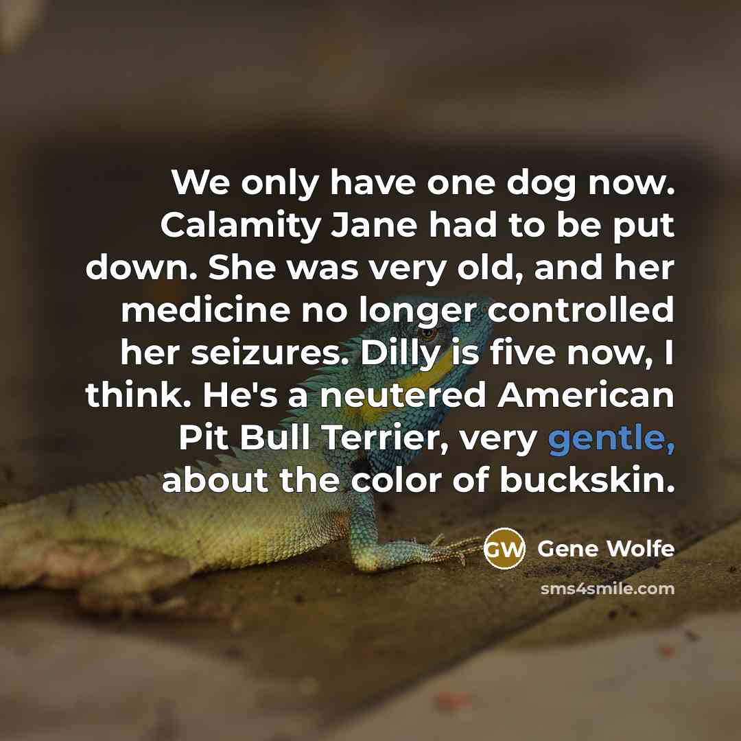 “We only have one dog now. Calamity Jane had to be put down. She was very old, and her medicine no longer controlled her seizures. Dilly is five now, I think. He's a neutered American Pit Bull Terrier, very gentle, about the color of buckskin.” quote by Gene Wolfe