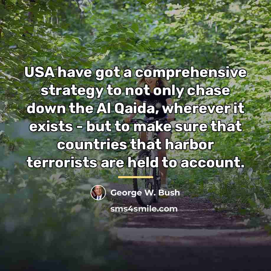 “USA have got a comprehensive strategy to not only chase…” quote by George W. Bush